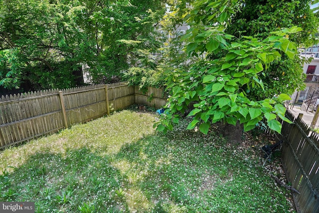 5823 Field Pl NE, Washington, DC 20019 - view of yard with a fenced backyard