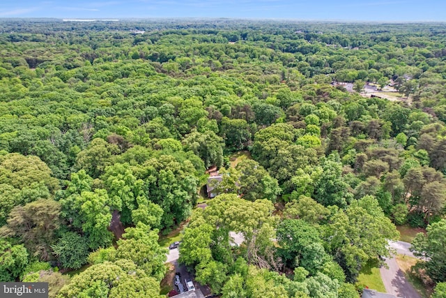 9180 Rolling Meadow Run, Pasadena, MD 21122 - view of property location featuring a forest