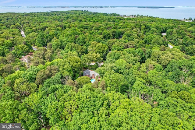 9180 Rolling Meadow Run, Pasadena, MD 21122 - aerial overview of property's location featuring a forest and a nearby body of water