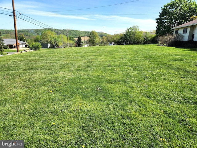 view of yard