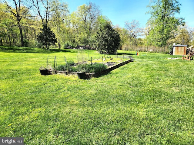 view of yard featuring a vegetable garden, an outbuilding, and a shed