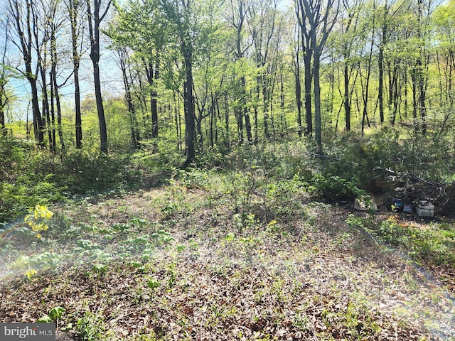 view of nature featuring a wooded view