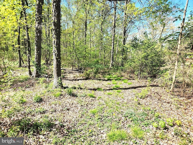 view of landscape with a forest view