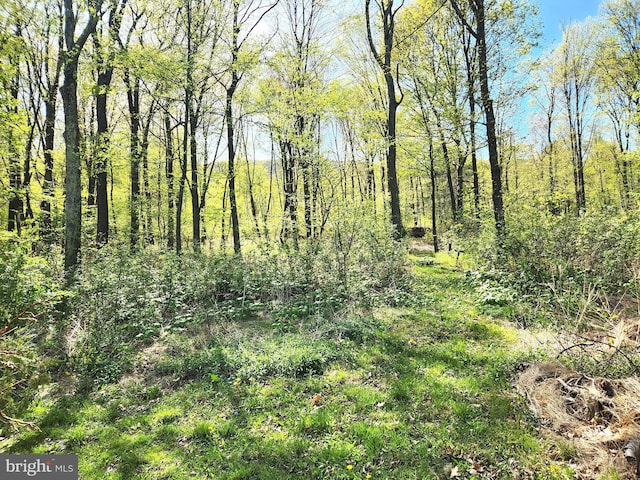 view of nature