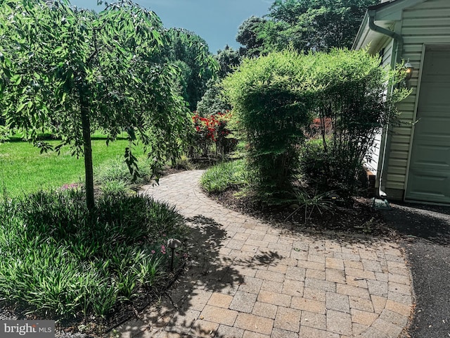 5620 Nutwell Sudley Rd, Deale, MD 20751 - view of yard