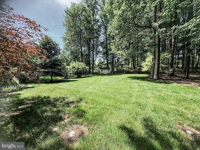 5620 Nutwell Sudley Rd, Deale, MD 20751 - view of grassy yard