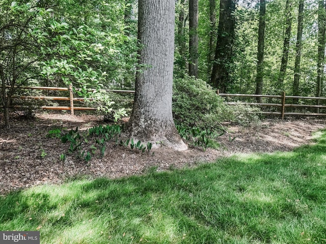 5620 Nutwell Sudley Rd, Deale, MD 20751 - view of yard