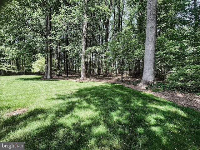 5620 Nutwell Sudley Rd, Deale, MD 20751 - view of grassy yard featuring a wooded view