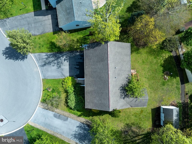 bird's eye view