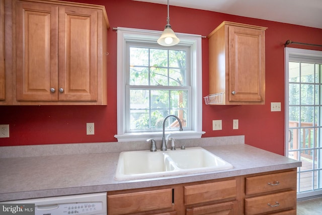 kitchen with dishwasher, plenty of natural light, light countertops, and a sink