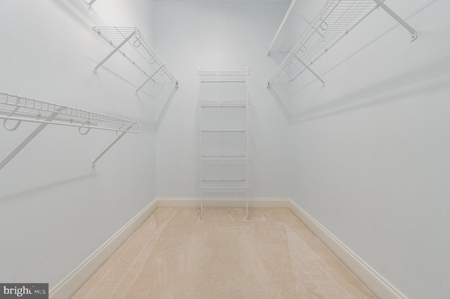 walk in closet featuring light colored carpet