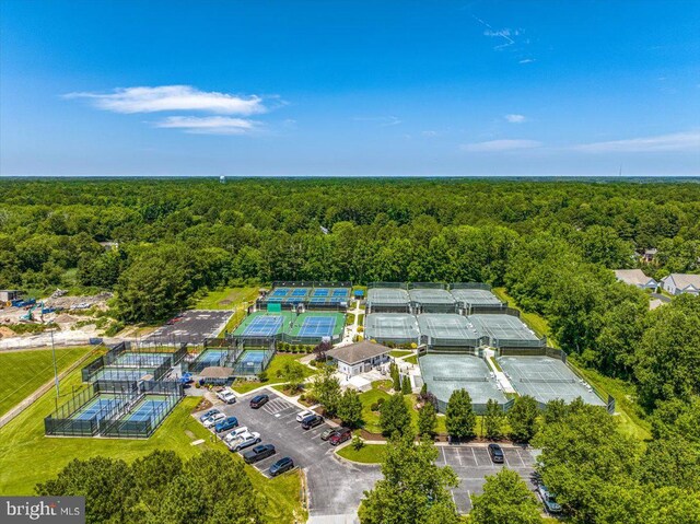 10 Riverside Ct, Ocean Pines, MD 21811 - aerial view of a forest