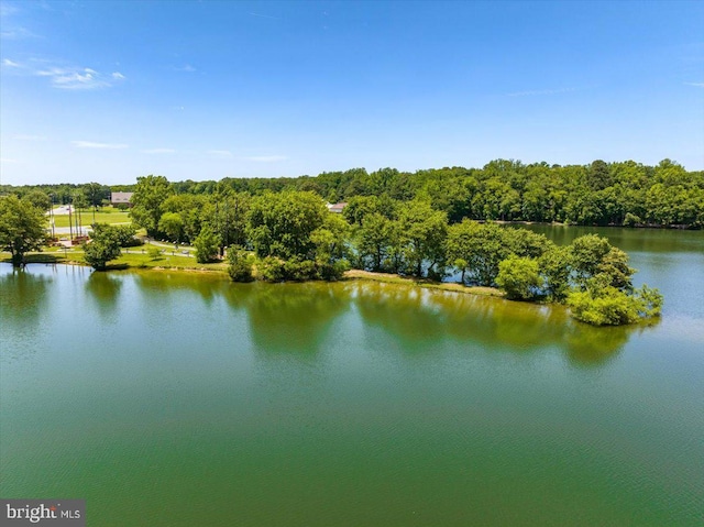 10 Riverside Ct, Ocean Pines, MD 21811 - water view
