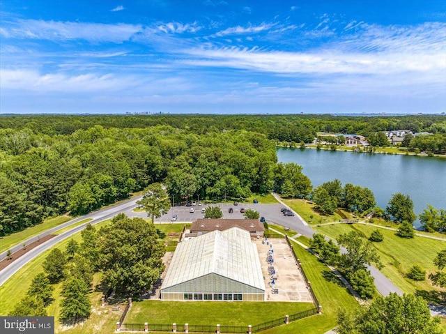 10 Riverside Ct, Ocean Pines, MD 21811 - aerial view of a nearby body of water and a forest