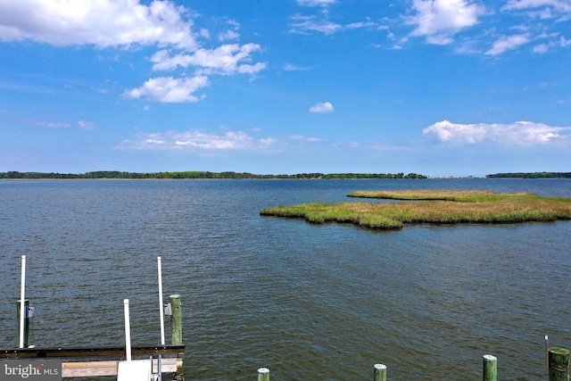 10 Riverside Ct, Ocean Pines, MD 21811 - water view with a boat dock