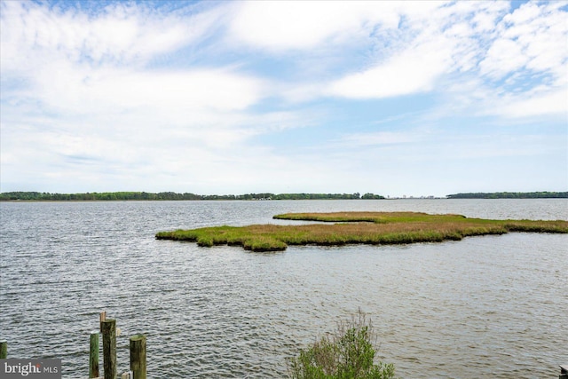 10 Riverside Ct, Ocean Pines, MD 21811 - water view