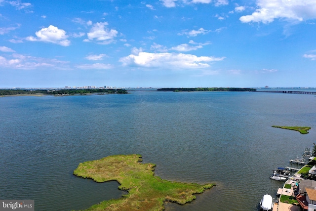 10 Riverside Ct, Ocean Pines, MD 21811 - water view