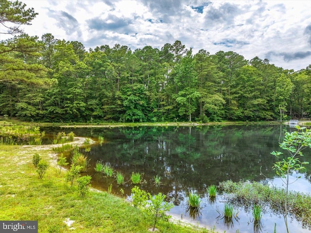 10 Riverside Ct, Ocean Pines, MD 21811 - water view with a heavily wooded area