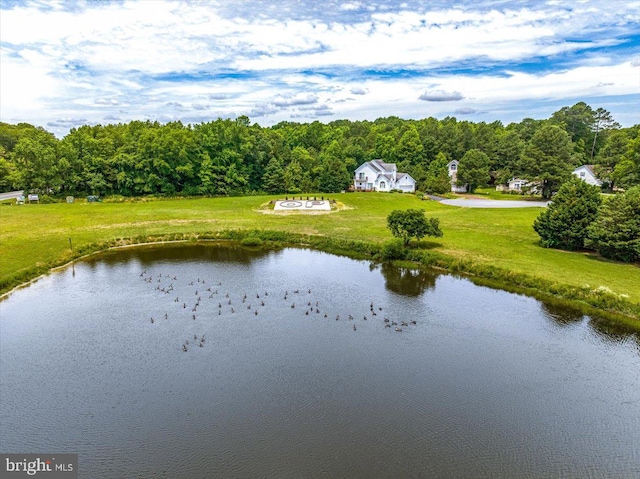 10 Riverside Ct, Ocean Pines, MD 21811 - water view featuring a forest