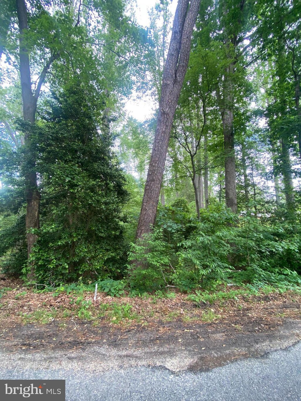 Dry Bridge Rd, Ruther Glen, VA 22546
