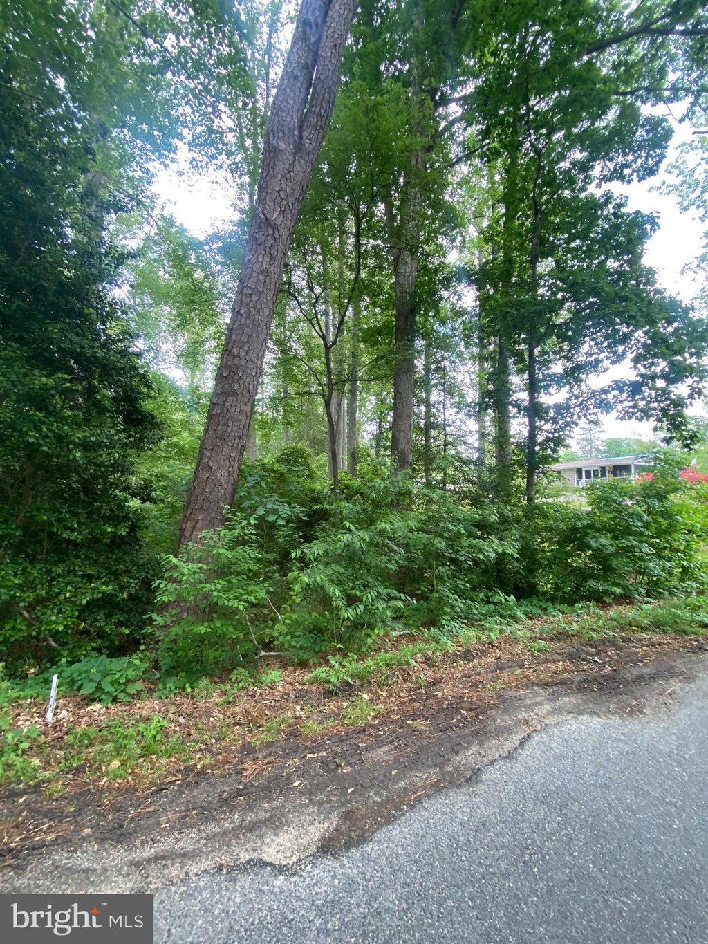 Dry Bridge Rd, Ruther Glen, VA 22546