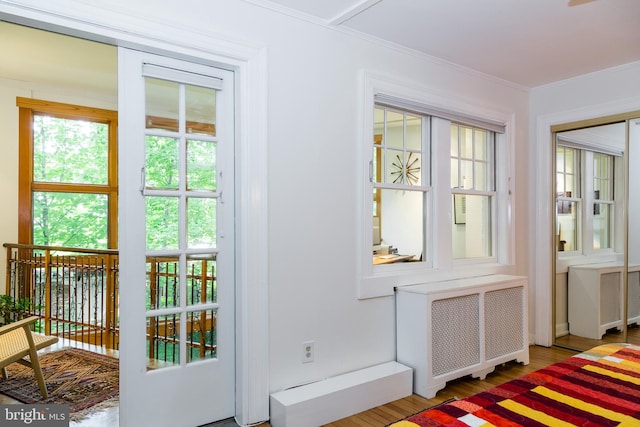 doorway to outside featuring ornamental molding, radiator, and wood finished floors