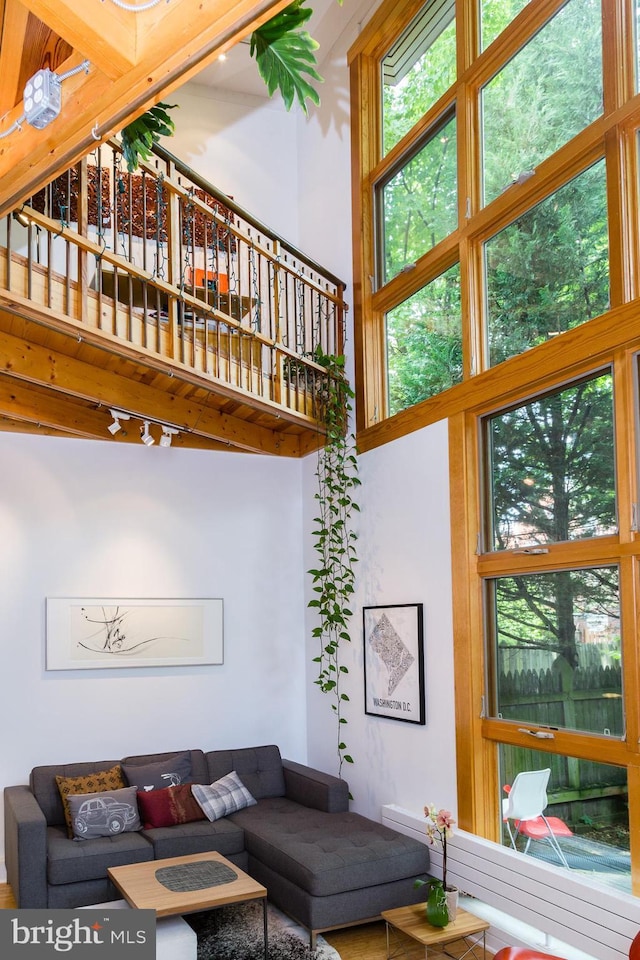 living room with rail lighting and a high ceiling