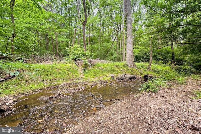 view of tree filled area