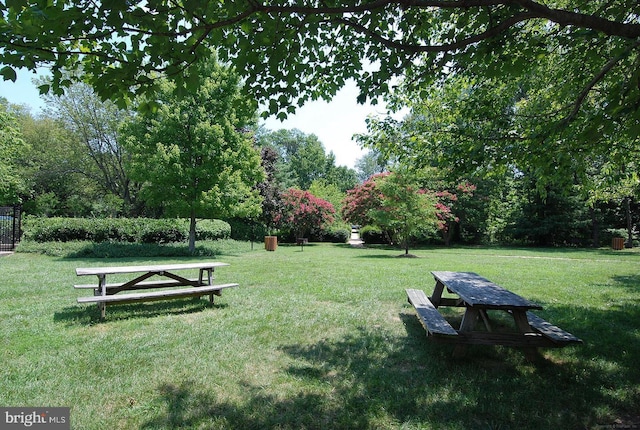 view of community featuring a lawn