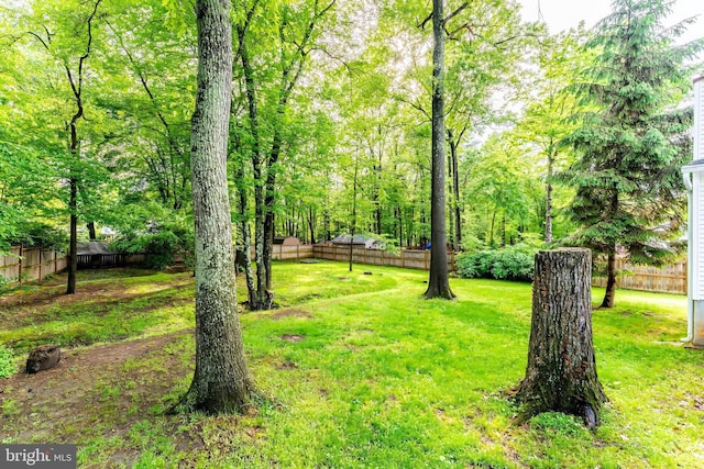 view of yard featuring a fenced backyard