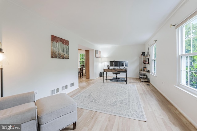 office featuring a wealth of natural light, visible vents, and wood finished floors
