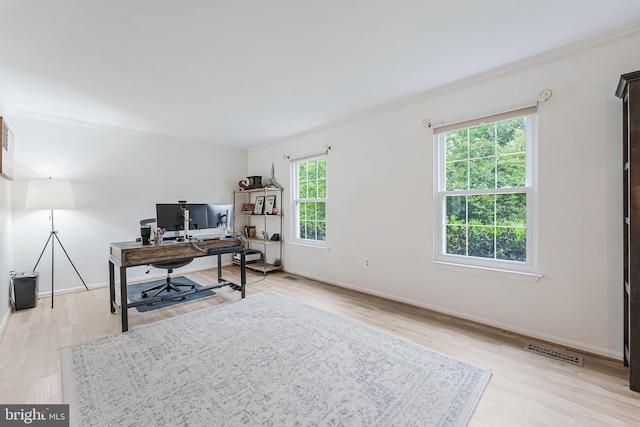 office featuring ornamental molding, visible vents, and light wood-style floors