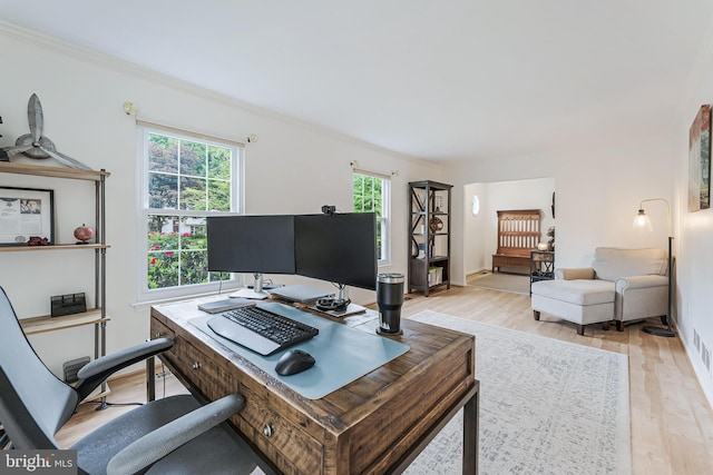 office featuring ornamental molding, baseboards, and light wood-style floors
