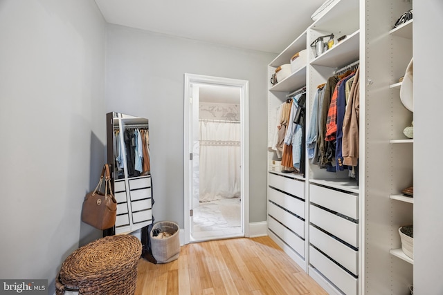 walk in closet featuring light wood-type flooring
