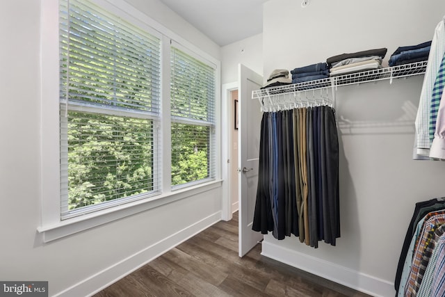 1653 Bandit Loop, Reston, VA 20190 - walk in closet with dark wood-type flooring