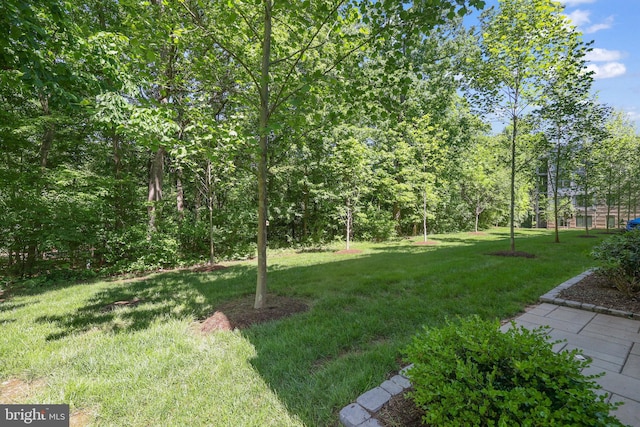 1653 Bandit Loop, Reston, VA 20190 - view of grassy yard
