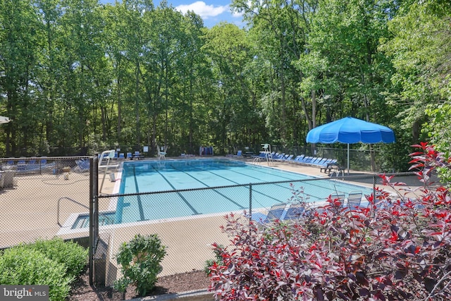 1653 Bandit Loop, Reston, VA 20190 - community pool with fence