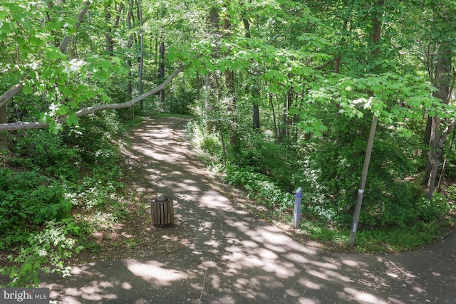 1653 Bandit Loop, Reston, VA 20190 - view of road with a view of trees