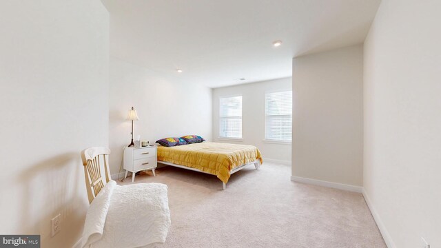 21042 Wavecrest Ter Unit 23, Lewes, DE 19958 - bedroom featuring baseboards and light colored carpet