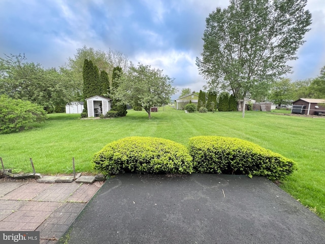 view of yard featuring an outdoor structure and a shed