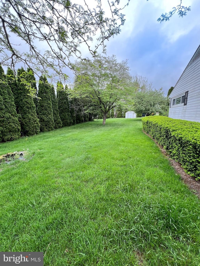 view of yard