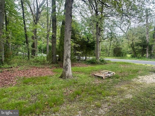 704 E Forest Grove Rd, Vineland, NJ 08360 - view of yard with a forest view