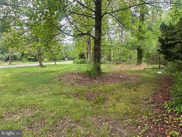 704 E Forest Grove Rd, Vineland, NJ 08360 - view of yard