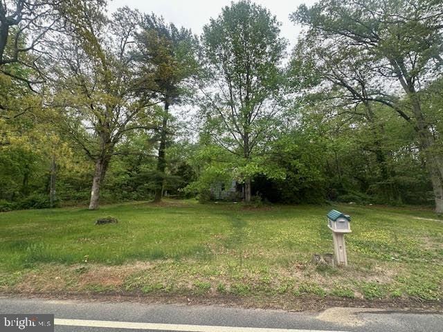 704 E Forest Grove Rd, Vineland, NJ 08360 - view of yard