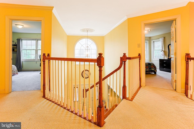 82 Granville Way, Exton, PA 19341 - stairs featuring ornamental molding and carpet floors