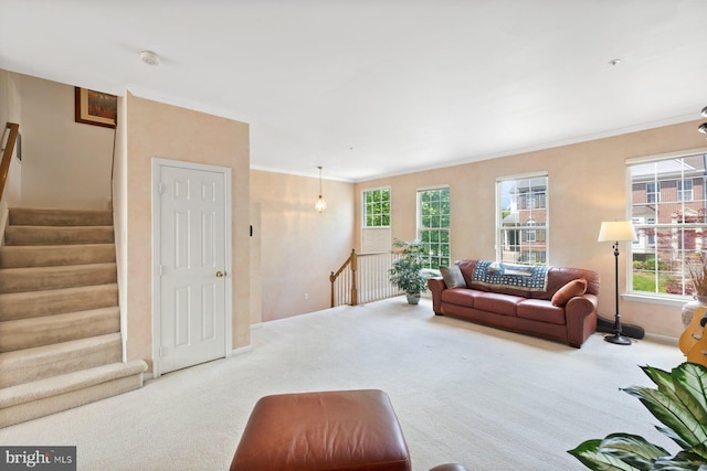 living room featuring carpet and crown molding