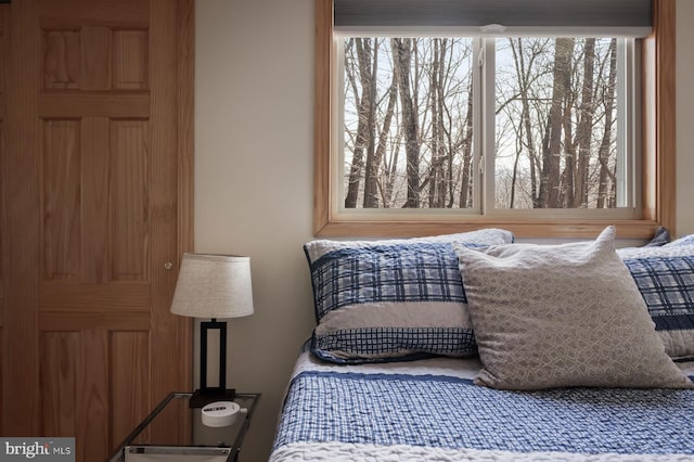 bedroom with multiple windows