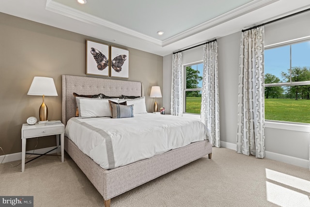 bedroom featuring carpet, baseboards, and a raised ceiling