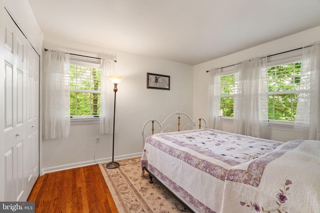 bedroom featuring wood finished floors, multiple windows, baseboards, and a closet