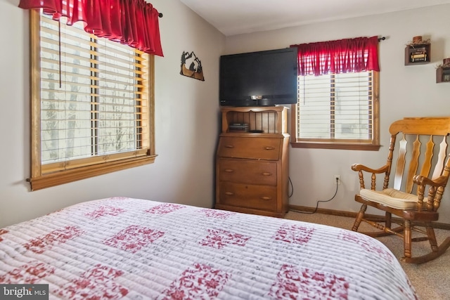 164 Fawn Rd, Pocono Lake, PA 18347 - bedroom with carpet flooring